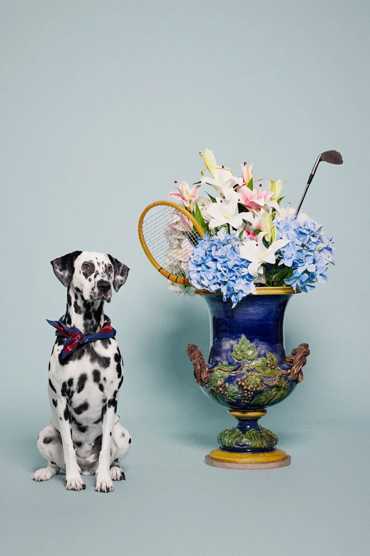 Drôle de Monsieur - Drôle de Monsieur