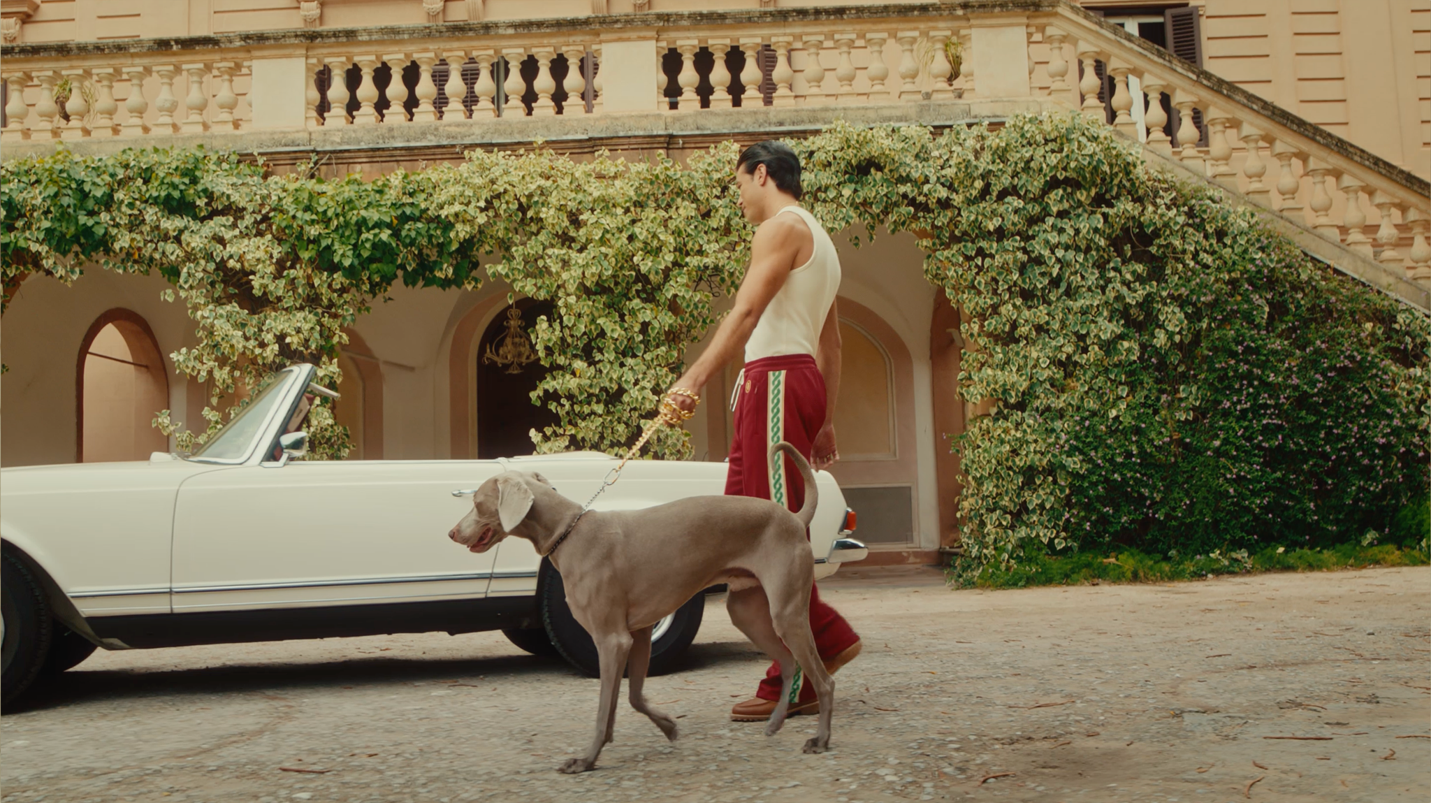 Le Tracksuit Le Tracksuit